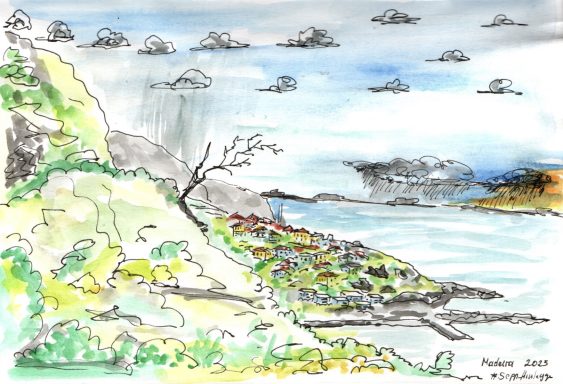 Blick auf Funchal